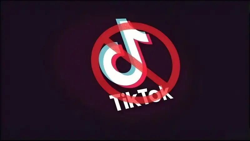 2026 Latest Guide: How to Access TikTok on School or Restricted Networks?