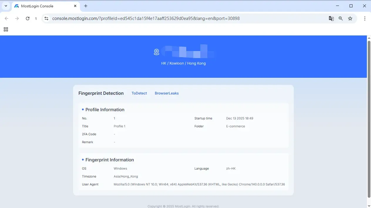 Clone Browser Profile Information Display