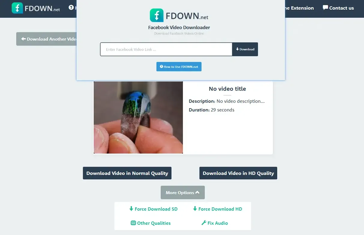 FDown.net