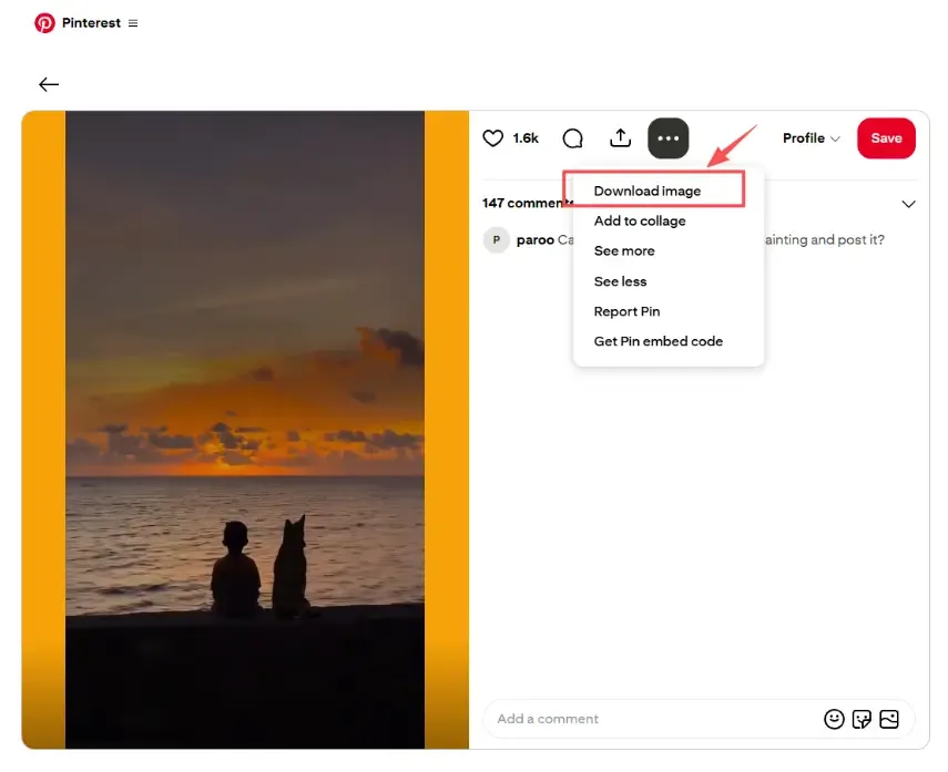 download pinterest video from desktop.webp