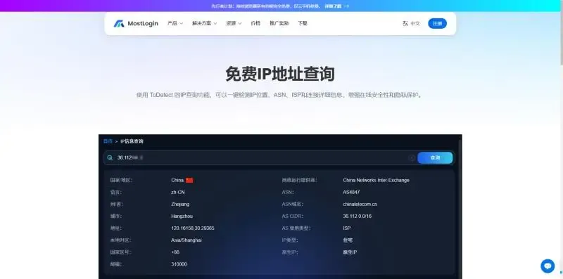 Инструмент проверки IP-адреса