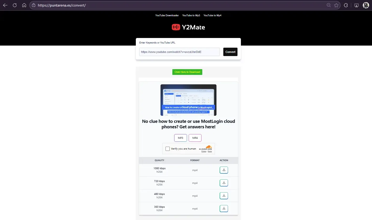 Puntarena YouTube Video Downloader